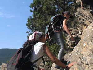 pirineos-pallerols-alumni-college