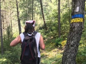 pirineos-pallerols-alumni-college